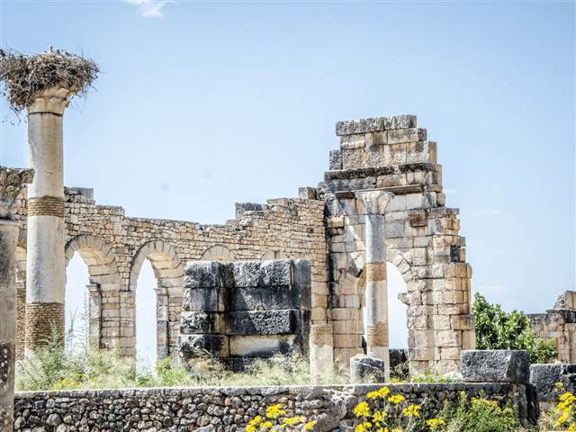 Meknes & Roman Volubilis