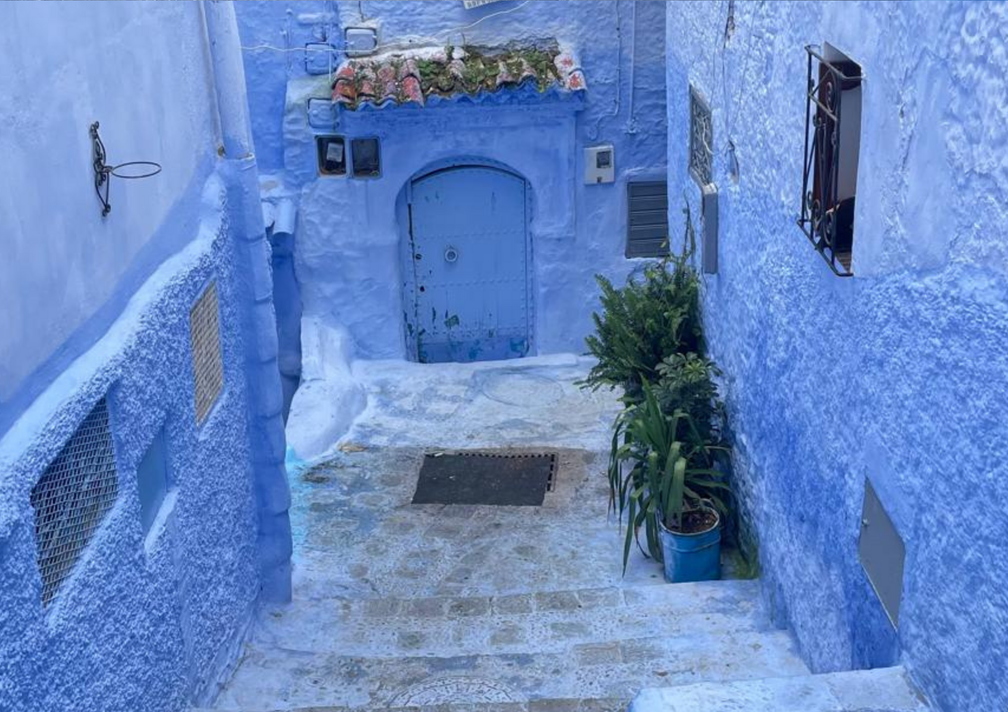 Camellos en el desierto Marruecos