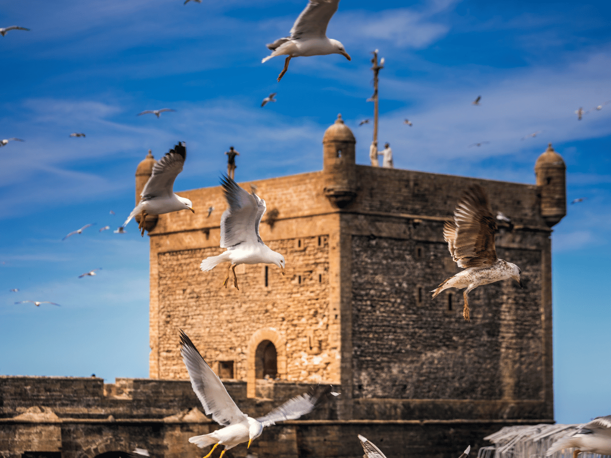 Tours desde Casablanca