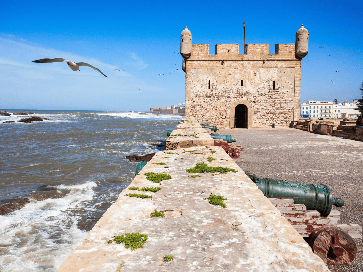 Camel trekking Morocco