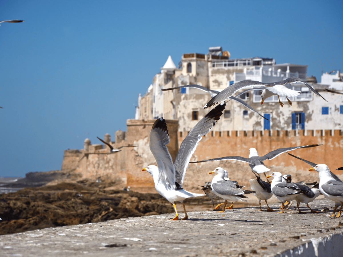 Morocco desert tours